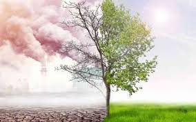 We must take action on climate change now