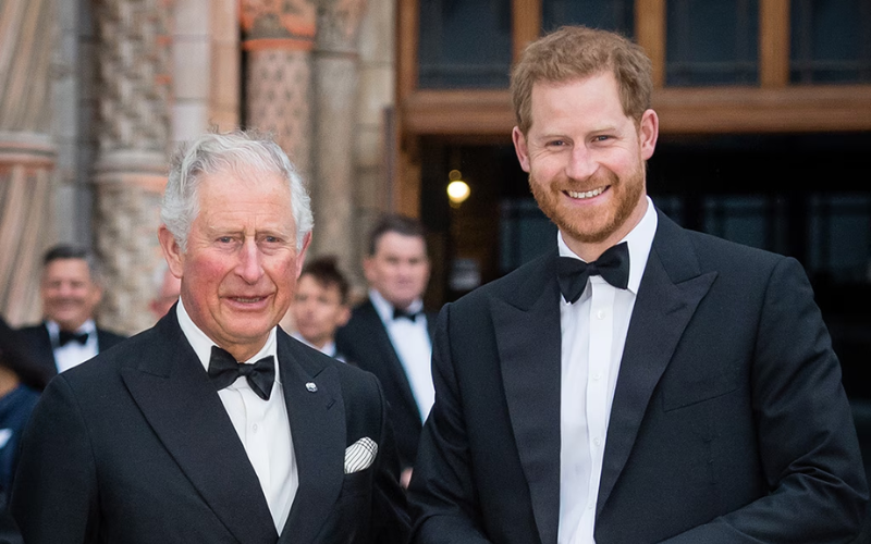 Prince Harry slams 'false' claims about reunion with King Charles