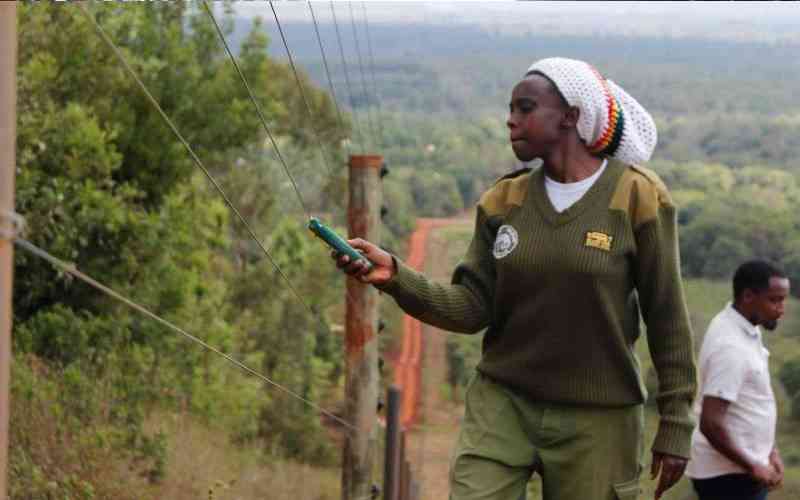 Stop destruction of Imenti Forest