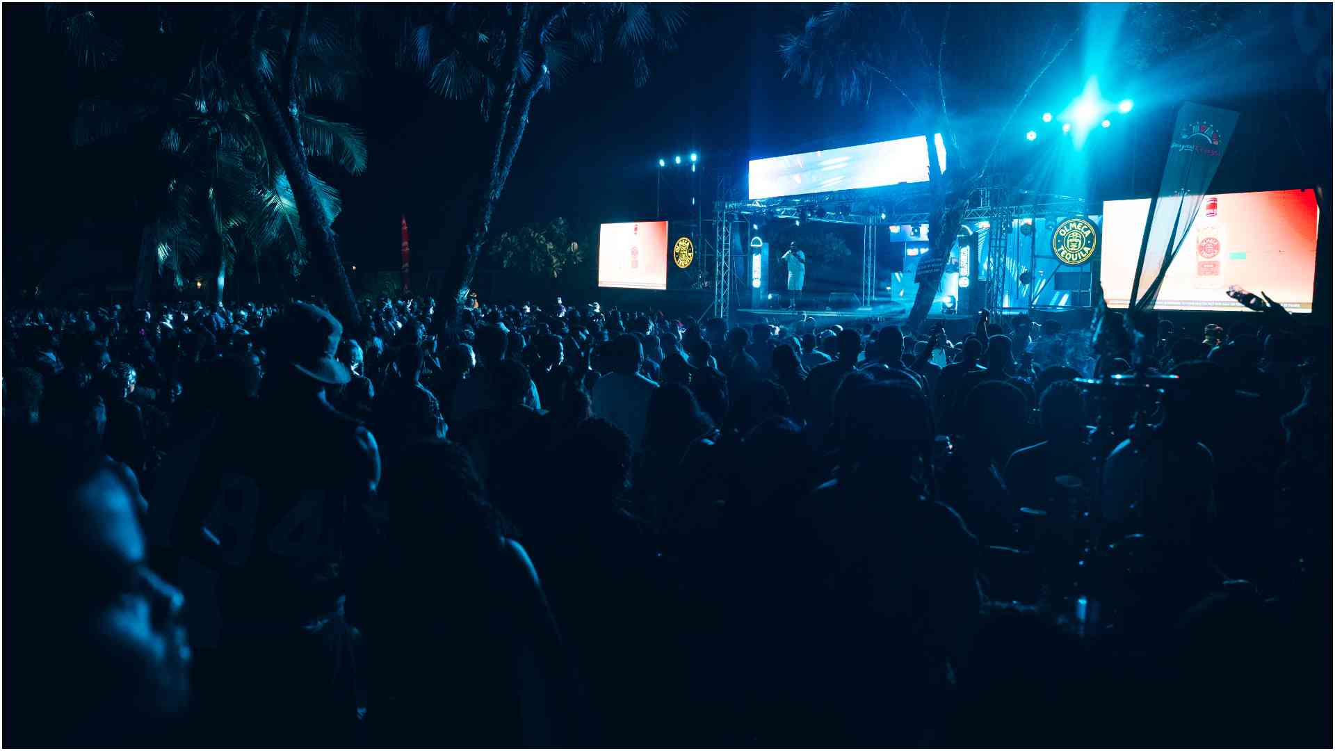 Bikinis, posh cars, booze, nudity scenes, rock Diani during Summer Tides Festival