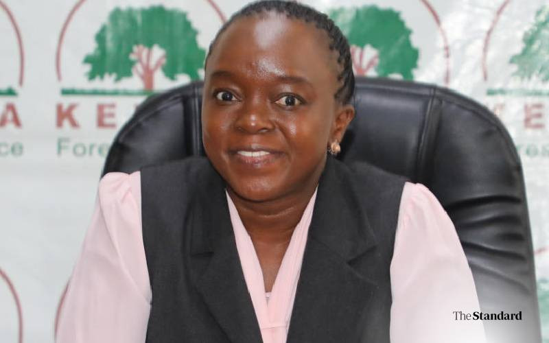 Karura MCA faults government over the controversial tree nursery project