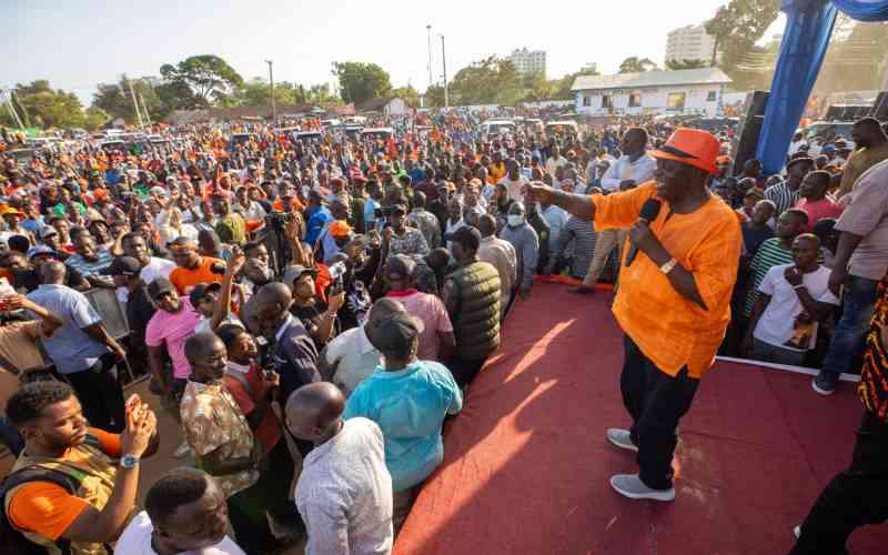 Oburu-Wanga team; Ruto's negotiators or grassroots mobilizers