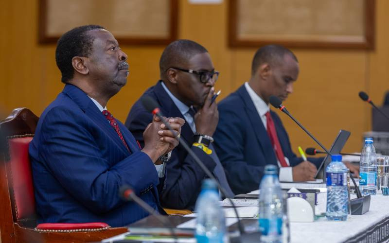 Mudavadi says Kenya's GDP growth hits 5.3pc