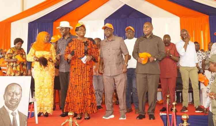 ODM's ideological stand cannot be dictated by individuals' dreams