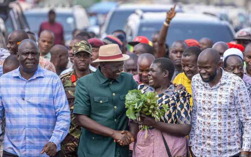Senate report uncovers market decay and mismanagement in Vihiga
