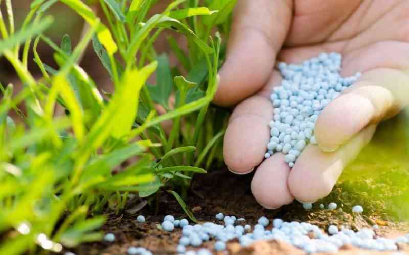 Farmers set to access Sh268 million credit to buy fertiliser
