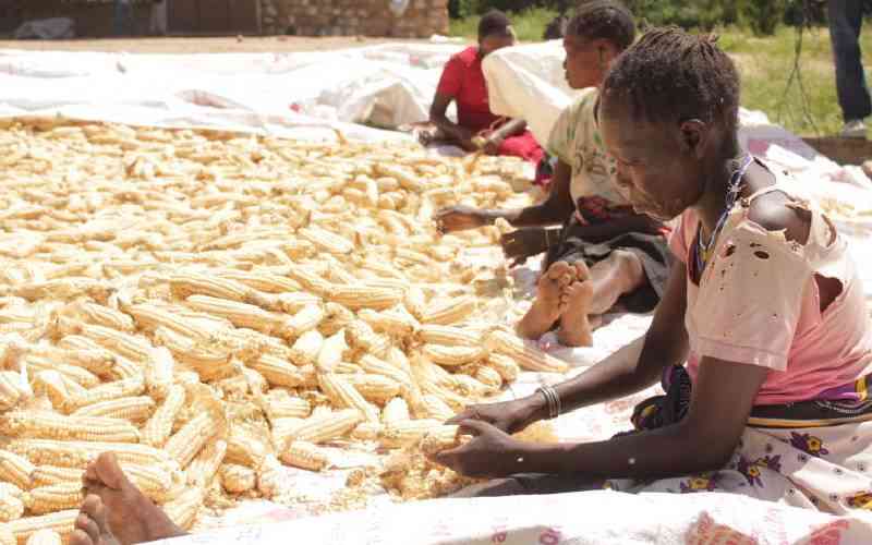 New push for households to have own grain reserves