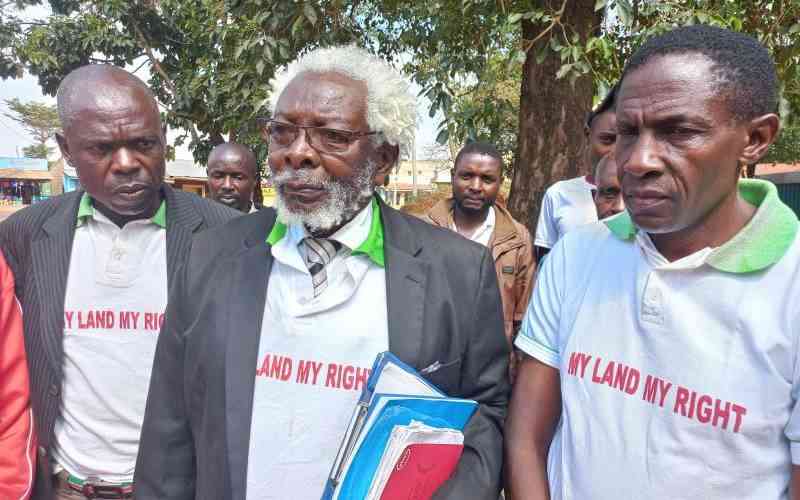 Squatters' joy as state promises them 174 hectares of forest land