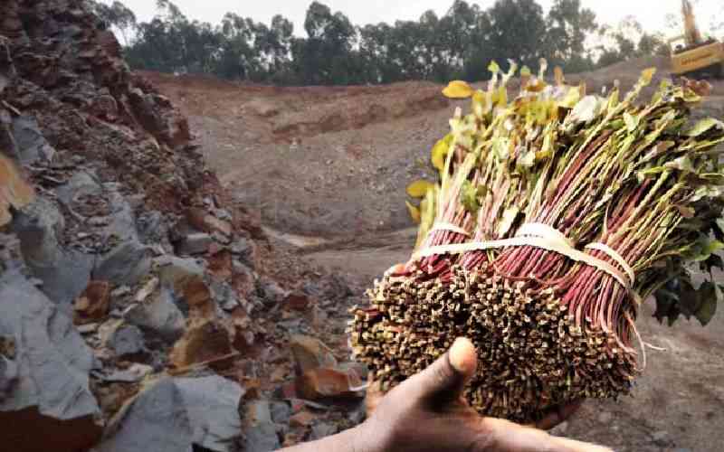 Forget miraa: Discovery of minerals stirs up Meru locals