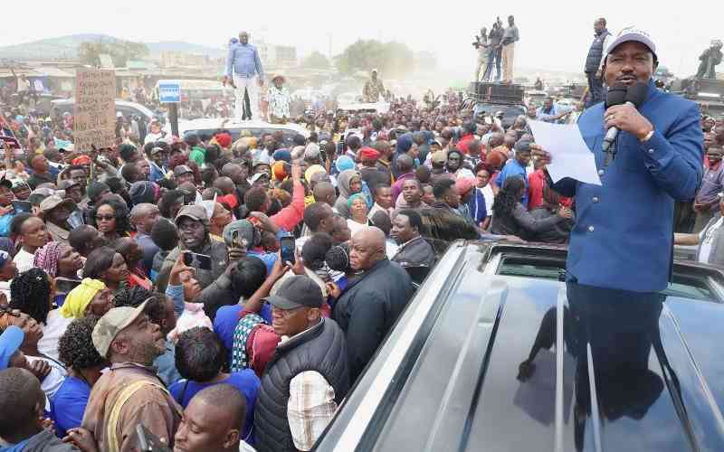 Why Kenya's democracy suffers greatly after every election cycle