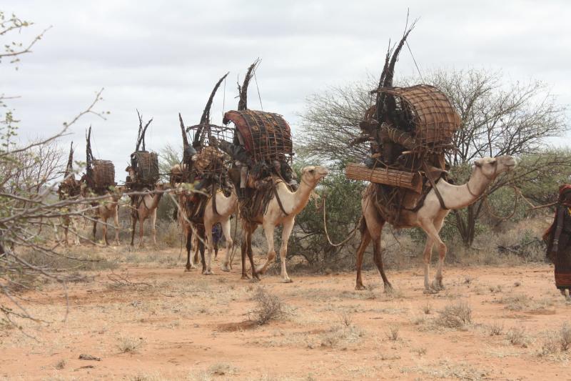 Marsabit drought: Even adults are malnourished, we're waiting on God