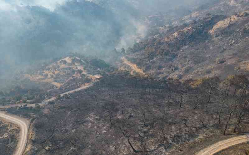 Hundreds evacuated as forest fire rages in Turkey