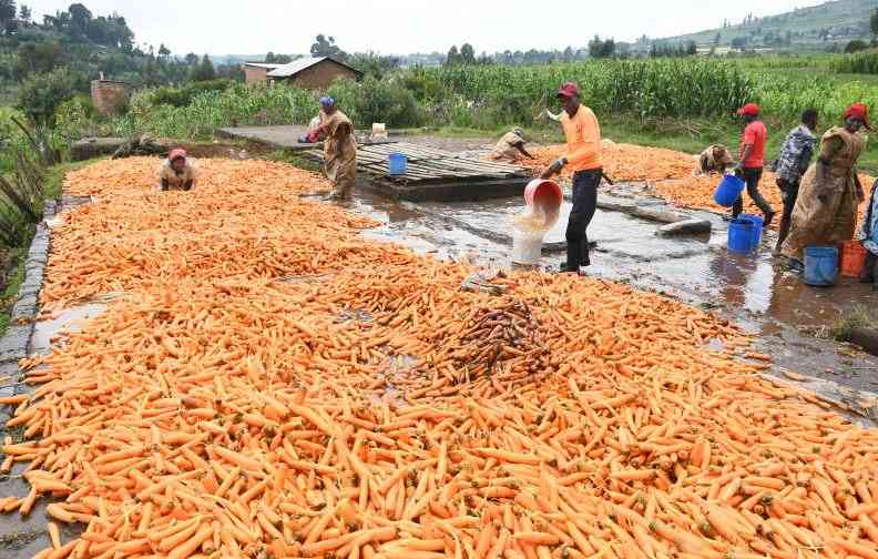 Don't cut the hand that feeds us: Farmers sound alarm on tax bill