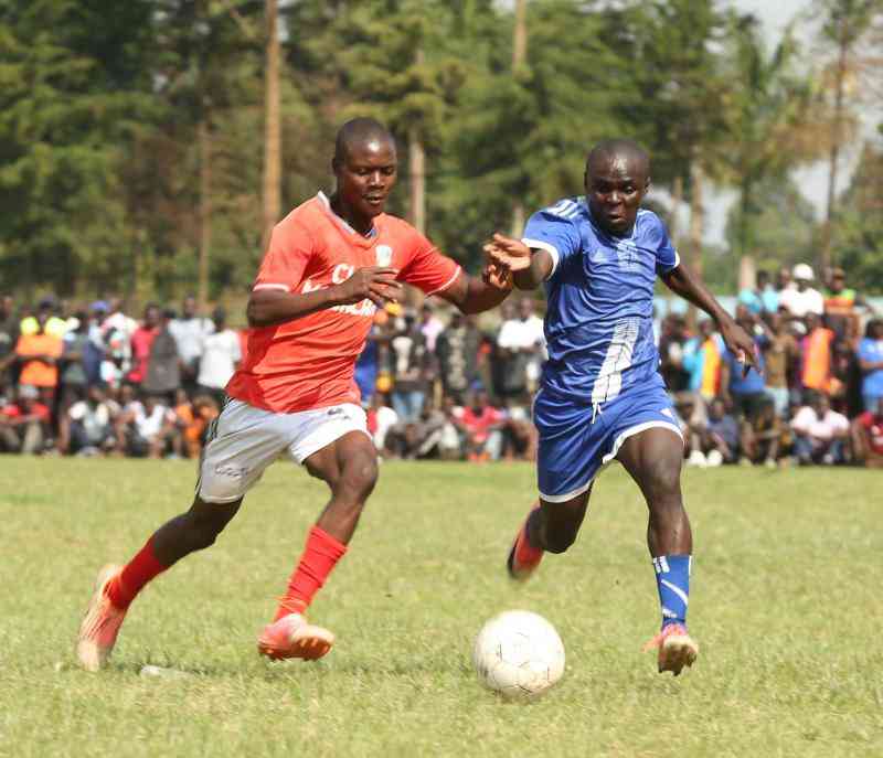 Counties give birth to new champions