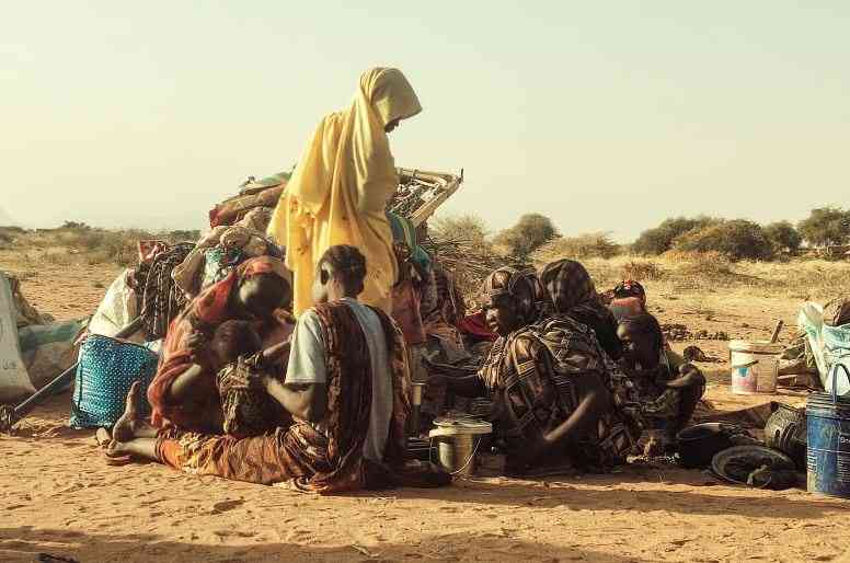 Black Ants: Sudan's war leaves homes looted, lives shattered