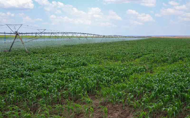 After years of false starts, Galana-Kulalu turns into productive farmland 