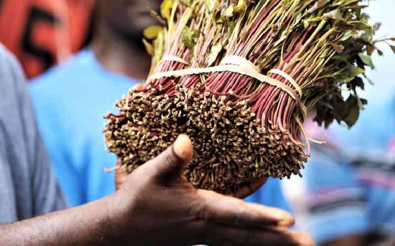 What should be done for Kenya to benefit more from miraa