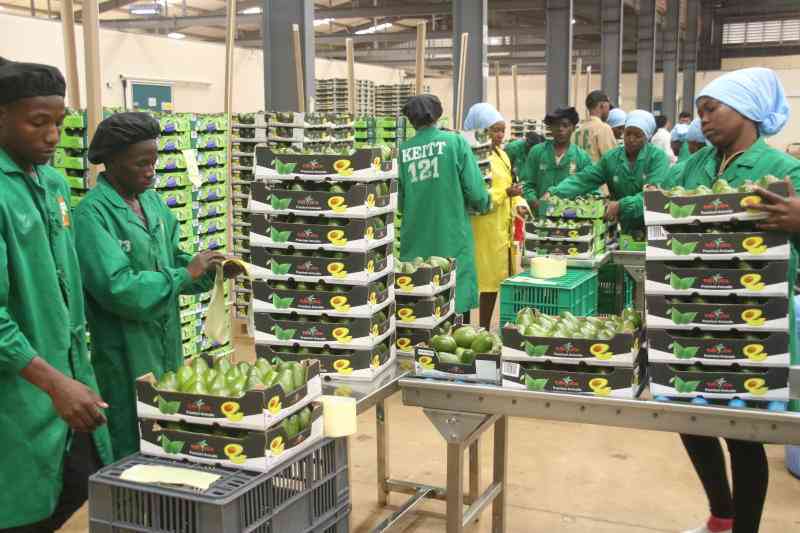 Low interception of export produce cases reported this year says AFA