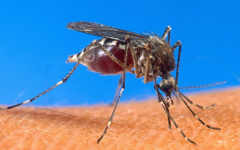 Climate change, population growth threats as malaria fight stalls