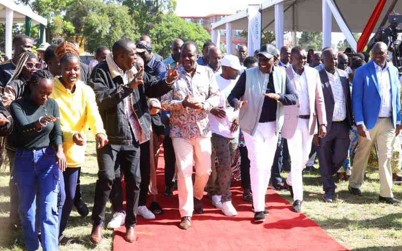 Why Kenya's catalytic funds are not effective in poverty alleviation