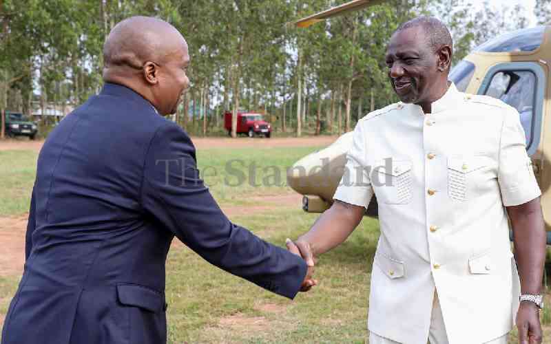 Ruto's strategy to regain Mt Kenya backing