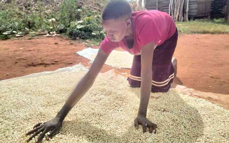 Farmers in Western warned against selling maize at throwaway prices