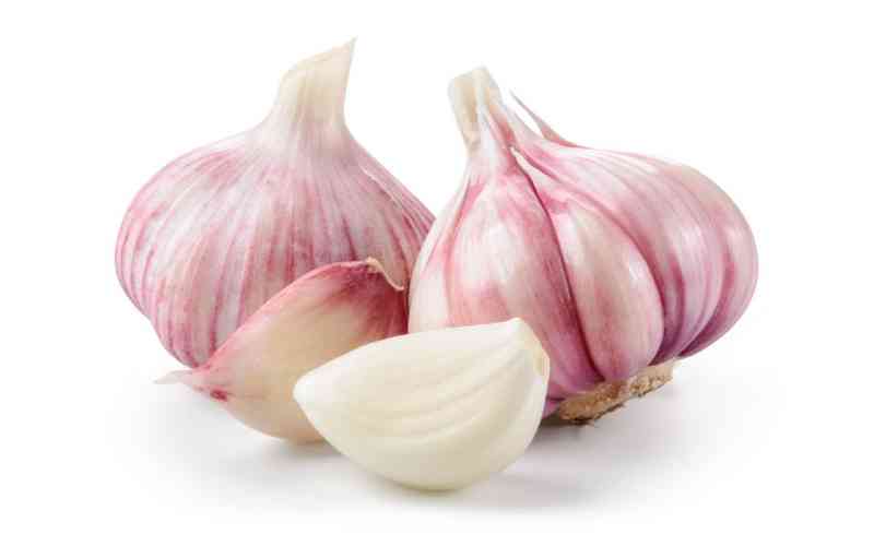 Earning big from garlic value-added products