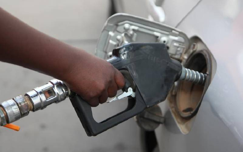High prices slash petroleum import bill
