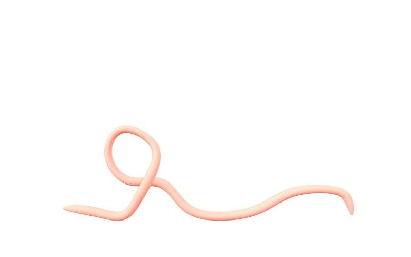 Invisible and overlooked: The hidden toll of intestinal worms and bilharzia