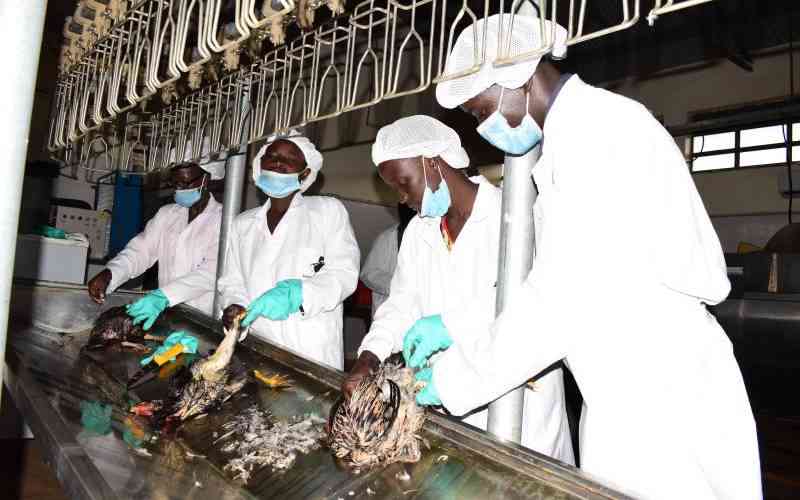 Useful marketing tips for your poultry meat