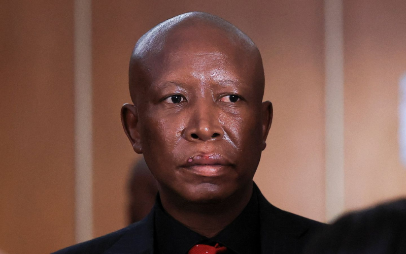 Julius Malema sentenced to five years for firing rifle at rally in 2018