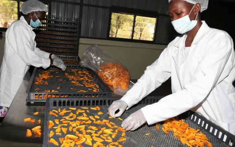 State unveils Sh245 million mango factory in Tana River