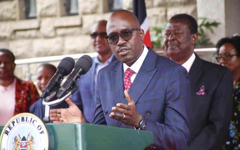 Parliament criticised for nullifying climate agency's diplomatic immunities