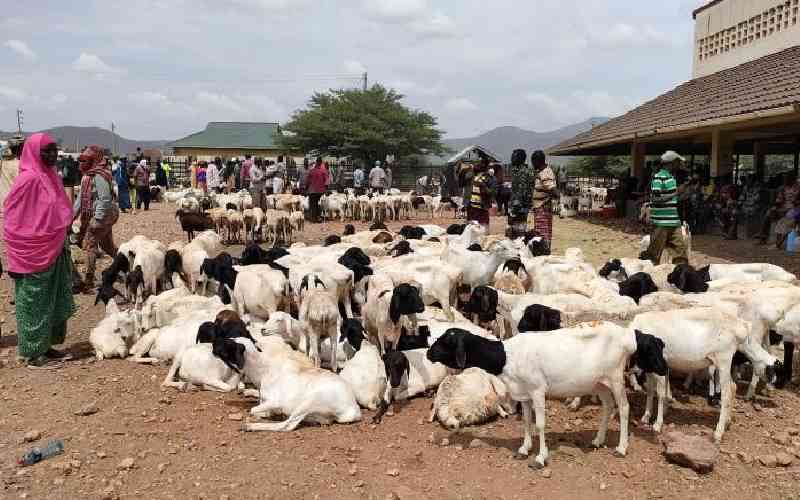 Blend tradition and tech to up livestock trading