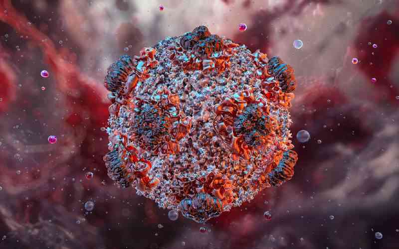What is hantavirus, and can it spread between humans?