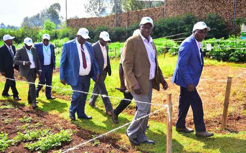 Sh451.5m dairy project to boost fortunes of smallholder farmers