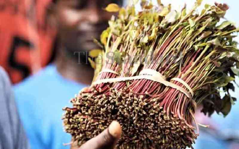 Senate Deputy Speaker decries Somalia decision to suspend flights delivering Miraa