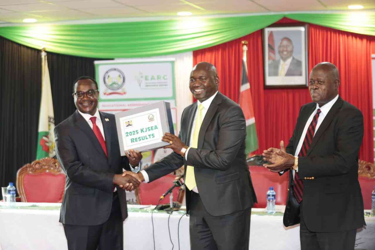 KJSEA results: Only 32pc of learners meet math expectations