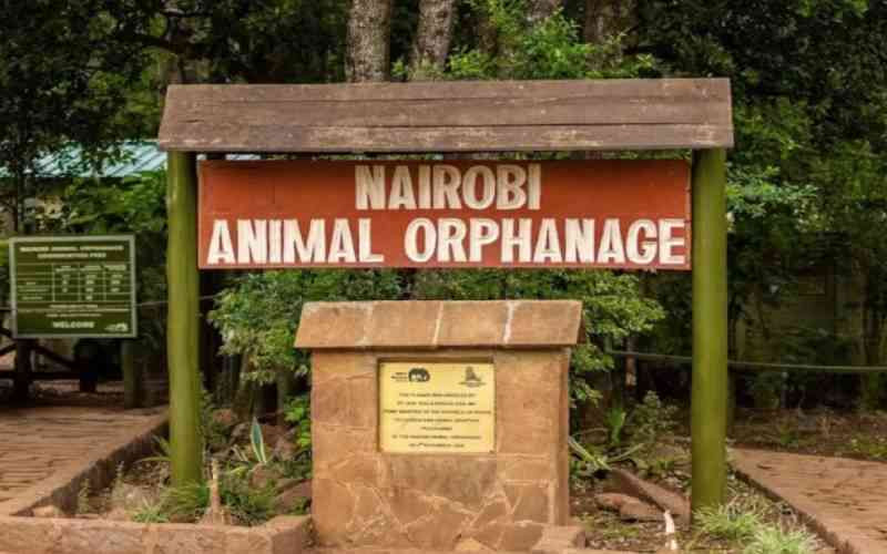 How development, land grab trend is closing in on Kenya's forests