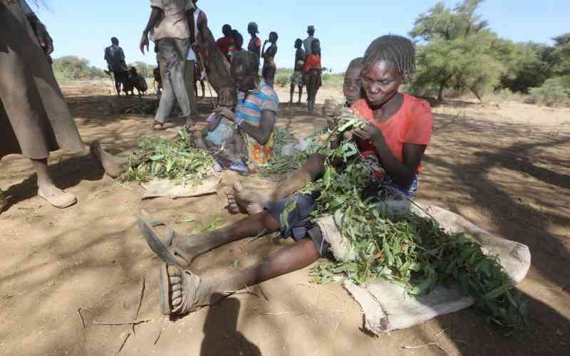 Women, children eat wild leaves as biting drought persists