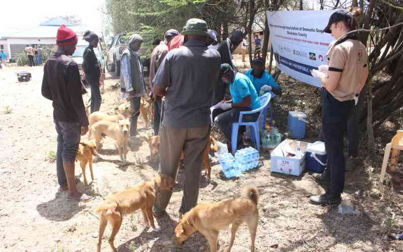 Why deadly rabies is harboured in man's trusted friend