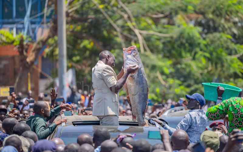 Ruto's Nyanza tour ignites tal...