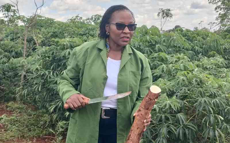 Kenya bets on science to revive a forgotten staple