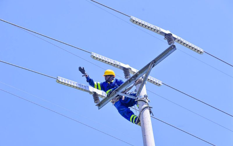 Kenya Power partners with US firm to end wildlife electrocution