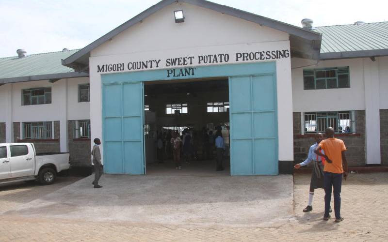 Boost for potato farmers in Migori as Sh110 million processing plant opens doors