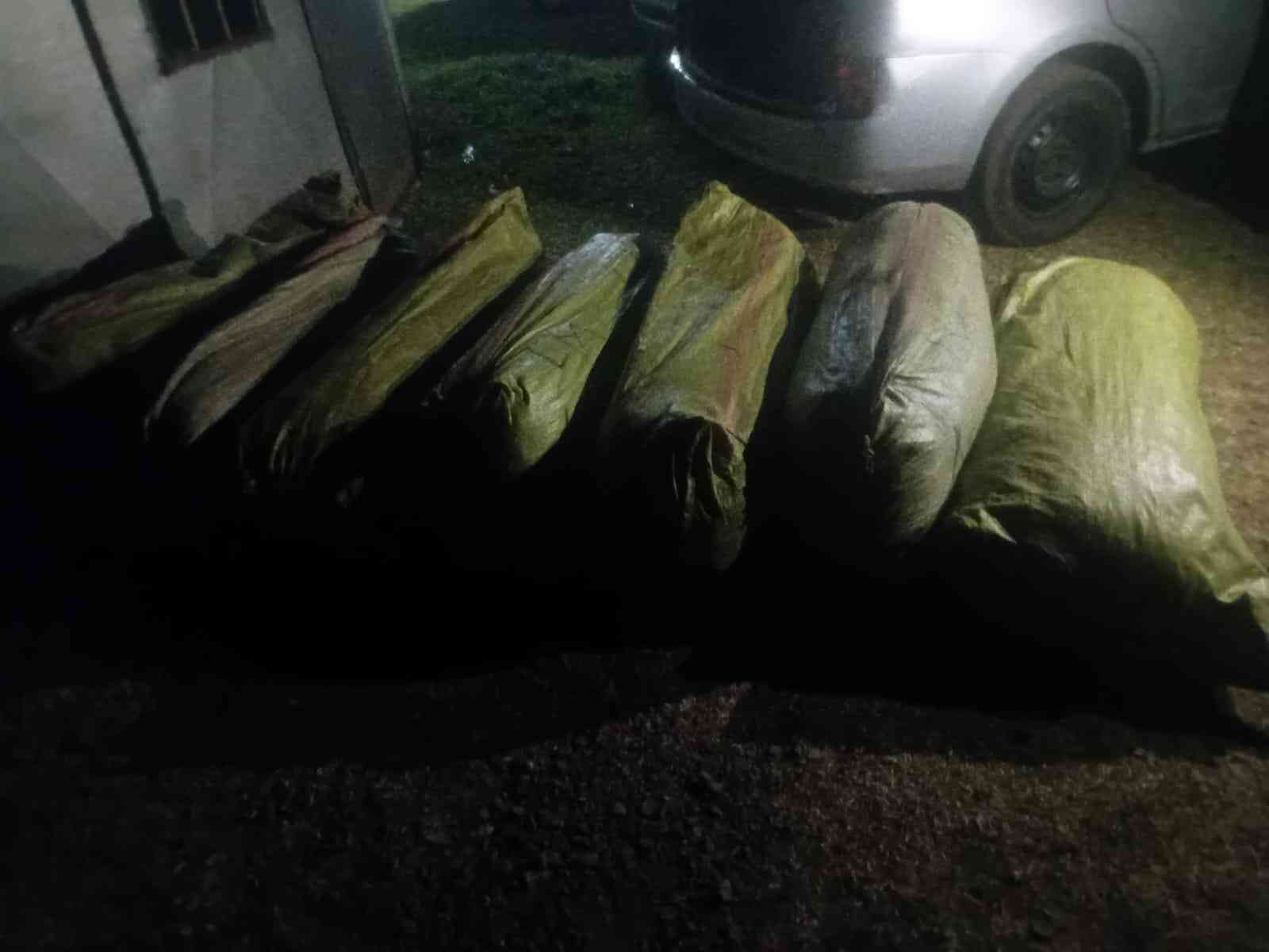 Bhang valued at Sh7m nabbed in Sotik
