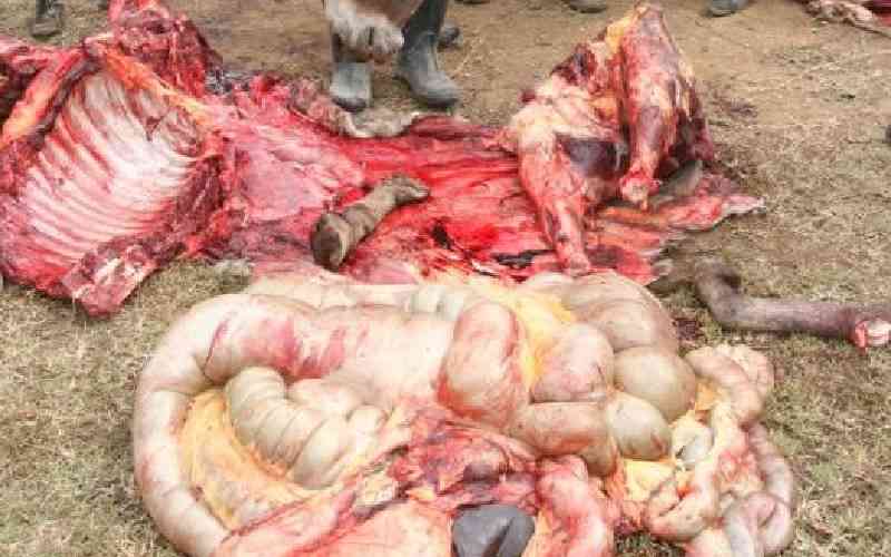 Organisation says secondary schools new market for illicit donkey meat