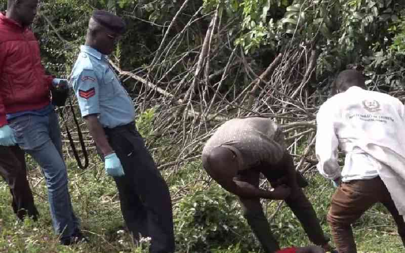 Police pursue suspected serial killer as 20 people murdered