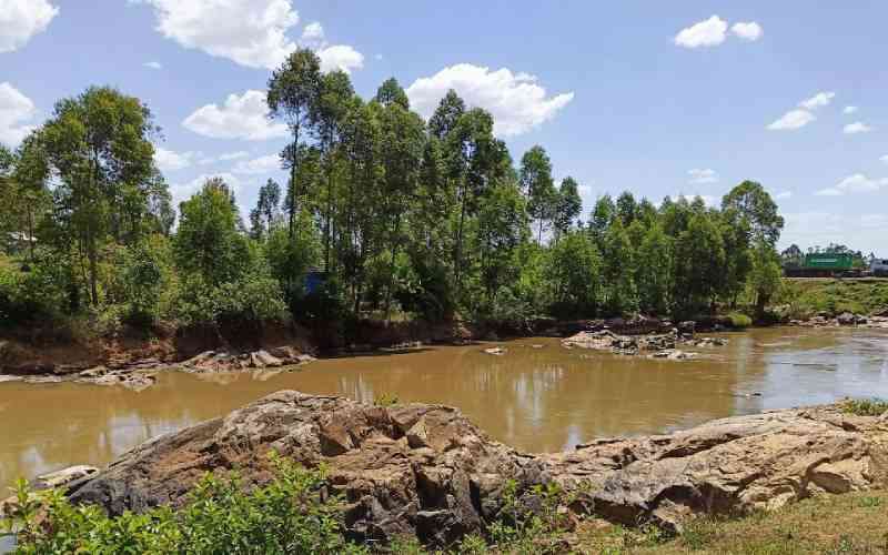 River Nzoia on the Noose: Counting the Cost of River Nzoia Basin Degradation