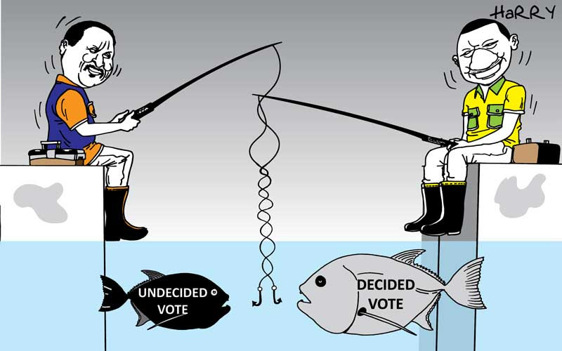 Fishing for votes